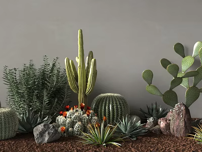 Shrubs Surrounded by Cactus Succulent Plants and Rocks on Brown Mulch Gray Wall Background 3d model