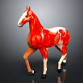 Detailed Horse Muscle Anatomy Model With Red Muscles And White Brown Body On Gray Background
