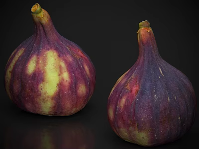 Two Fresh Juicy Striped Purple and Yellow Figs on Black Background 3d model