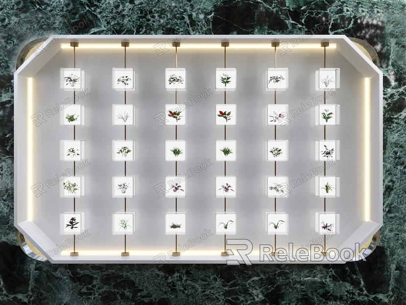 Modern Specimen of Plants model