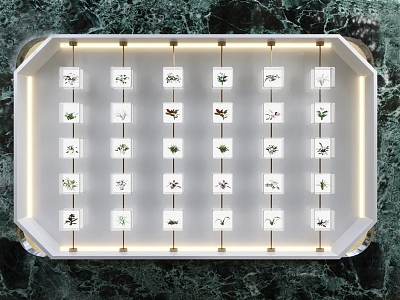 Modern Specimen of Plants model