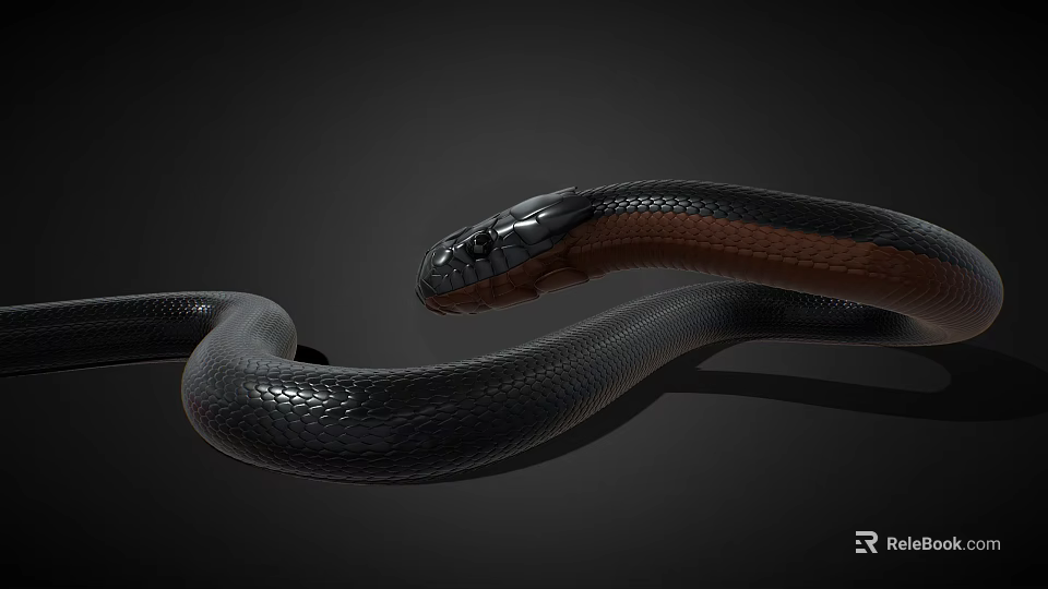 Snake with black and brown colored shiny body on dark background 3d model 