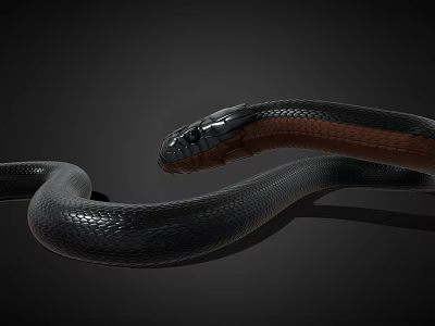 Snake with black and brown colored shiny body on dark background 3d model
