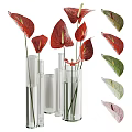 Transparent Glass Cylindrical Vases With Red Anthurium Flowers And Green Pink Leaves