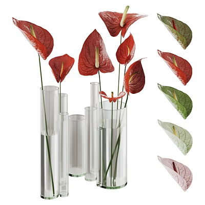 Transparent Glass Cylindrical Vases With Red Anthurium Flowers And Green Pink Leaves 3d model