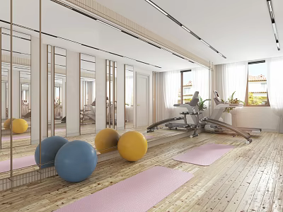 Entertainment Room Interior With Fitness Equipment Blue Yellow Exercise Balls Pink Yoga Mats And Mirrors 3d model