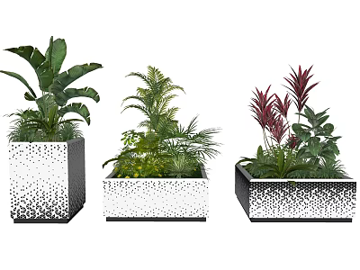 Bonsai Potted Plants In Square White Dotted Pattern Planters With Various Leafy Foliage 3d model