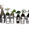 Elegant Bonsai Plants Displayed On Stylish Stands With Various Styles 3d model