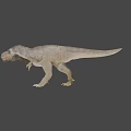 Realistic Reptile Tyrannosaurus Rex Dinosaur Model With Open Mouth Sharp Teeth And Detailed Skin Texture