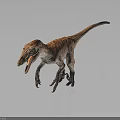 Velociraptor Dinosaur Character Model Standing With Open Mouth Green Eyes And Brown Striped Skin