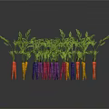 Vibrant Colorful Carrots as Agricultural Crop With Green Tops and Various Hues