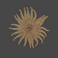 Golden Radiant Wall Decor With Textured Starburst Design And Hanging Ornament