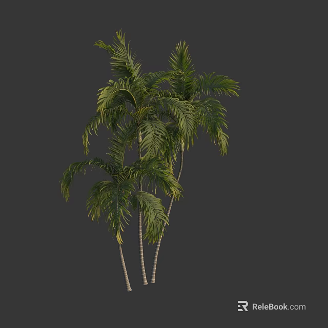 Tropical Palm Trees With Lush Green Fronds And White Trunks In Natural Landscape Design 3d model 