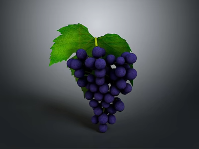 Fresh Dark Purple Grapes with Vibrant Green Leaves Healthy Juicy Fruit Bunch 3d model
