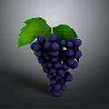 Fresh Dark Purple Grapes with Vibrant Green Leaves Healthy Juicy Fruit Bunch