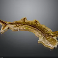 Golden Fish Organ Model with Hair Like Texture and Detailed Structure