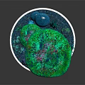 Cartoon Scene Featuring Large And Small Mushrooms With Surrounding Plants On Circular Base