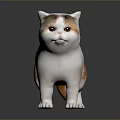 Cute White and Orange Chubby Cat in Standing Pose on Gray Background with Reflective Floor