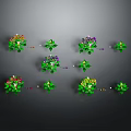 Various Green Leaf Plants With Colorful Flowers Arranged On Dark Background 3d model
