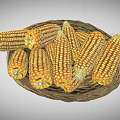 Fresh Yellow Corn Ears Arranged in Wicker Basket Healthy Vegetable 3d model