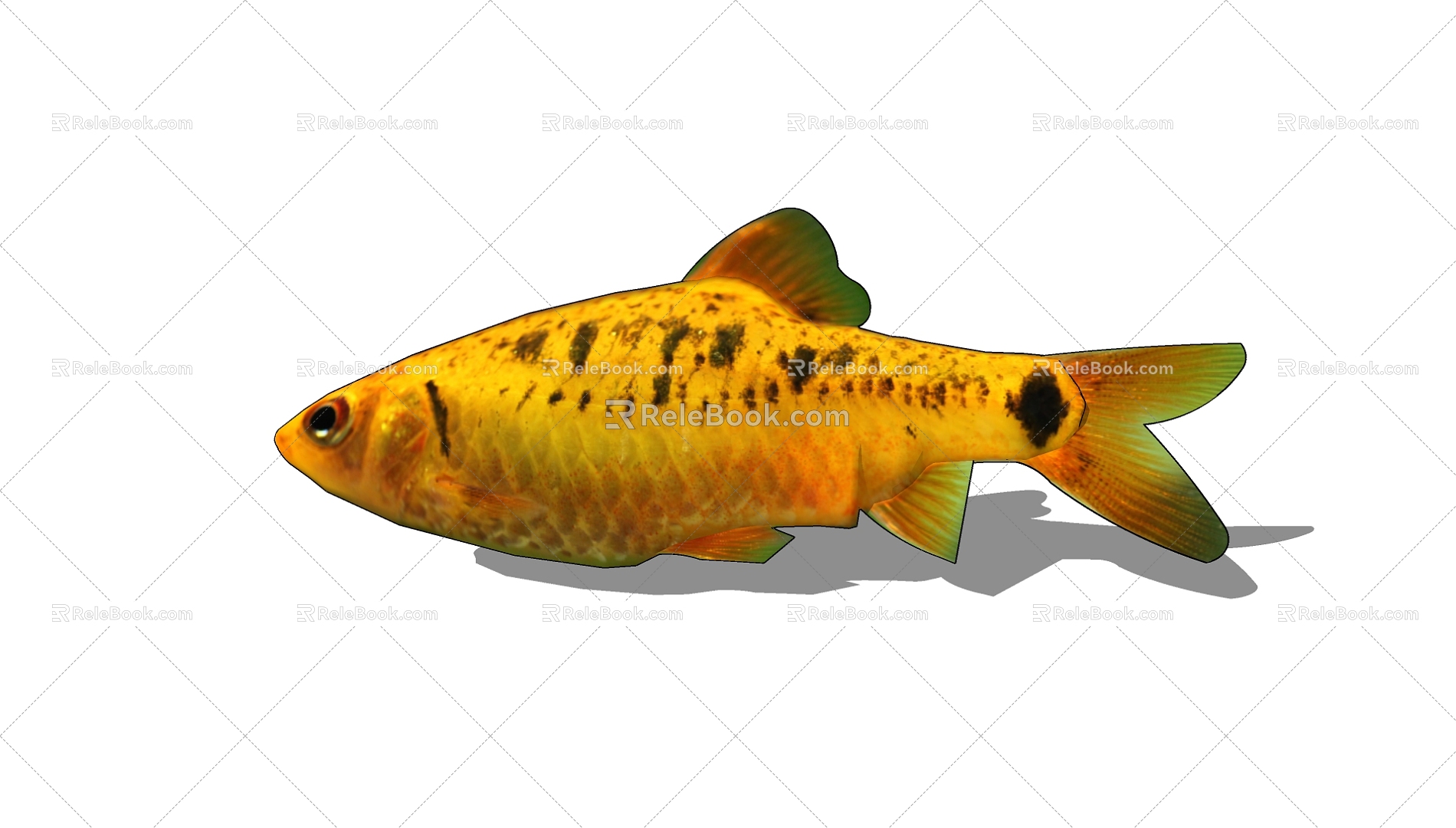 Fish 3d model