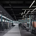 Spacious Modern Gym Interior With Various Fitness Equipment And Bright Lighting