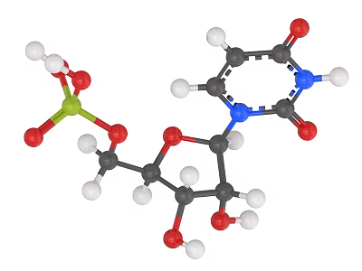 Chemical Formula Molecular Nucleotide Experimental Equipment 3d model