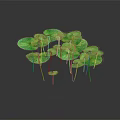 Natural Round Green Spotted Leaves With Slender Stems On Dark Background