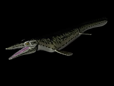 Realistic Aquatic Prehistoric Reptile with Long Snout Sharp Teeth and Flippers 3d model