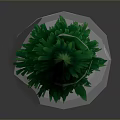 3D Rendered Tree With Green Leafy Canopy And Brown Textured Trunk Isolated On Gray Background