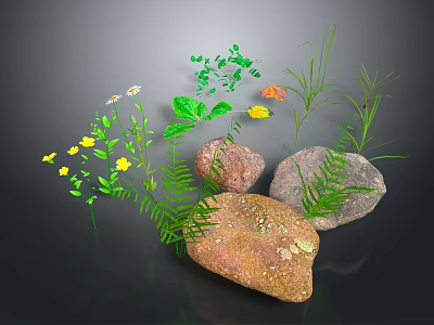 Natural Green Plants With Ferns Yellow Flowers Small Grasses And Stones 3d model