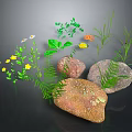 Natural Green Plants With Ferns Yellow Flowers Small Grasses And Stones