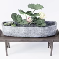 Bonsai Potted Plant with Lotus Leaves Pink White Flowers in Gray Pot on Wooden Table