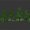 Lush Green Trees And Shrubs With Various Sizes For Outdoor Garden Landscaping Design