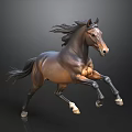 Brown Horse Running With Flowing Mane And Tail On Dark Background