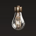 Elegant Clear Glass Light Bulb With Gold Base And Filament Details