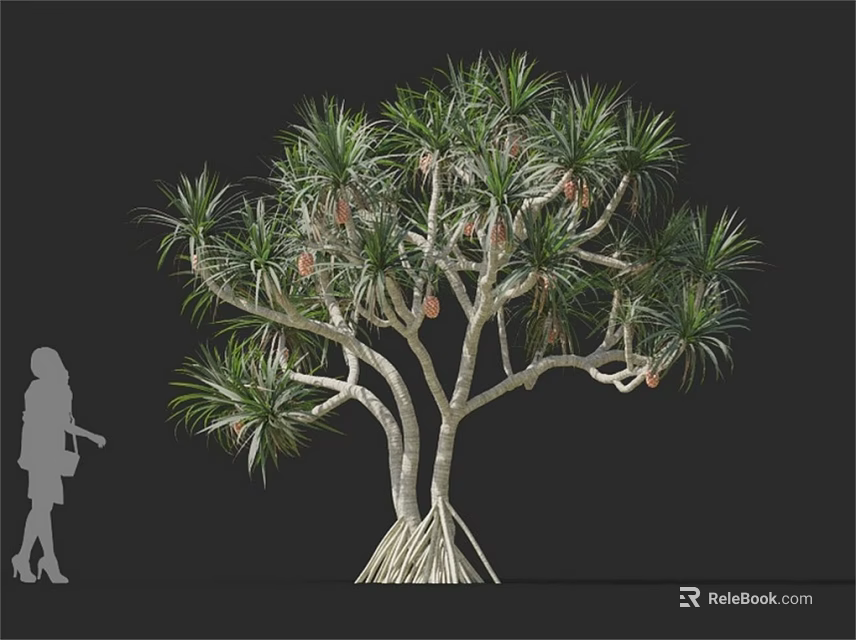 Tall Tree With Lush Green Foliage Multiple Branches And Human Figure Silhouette 3d model 