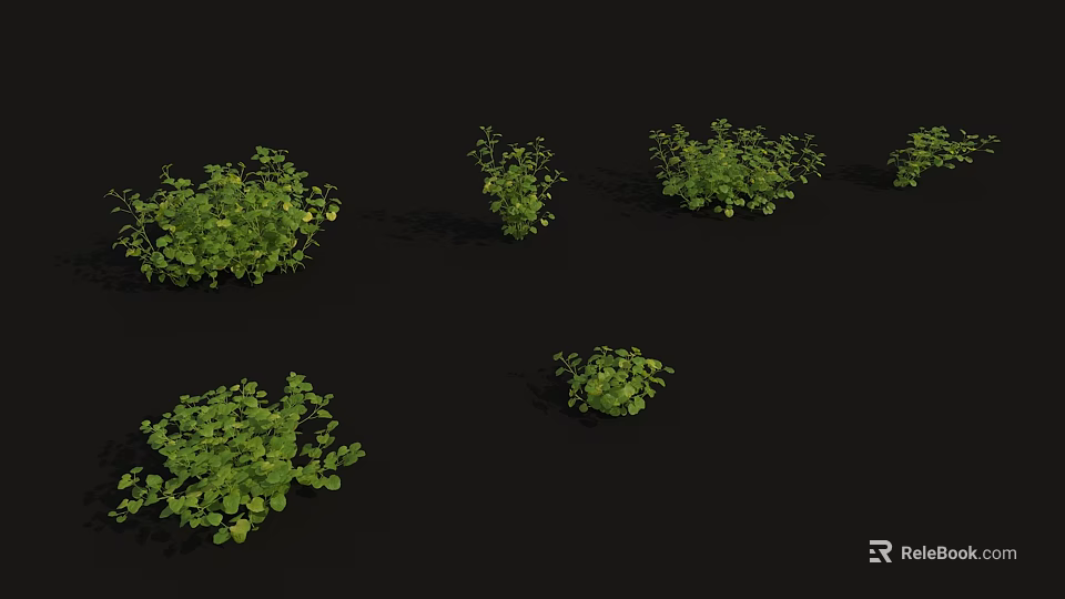 Green Plants With Various Sizes And Different Shapes On Black Background 3d model