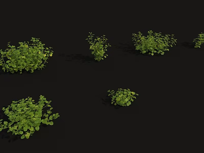 modern plant flower weed 3d model