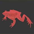 Vibrant Red Brown Reptile Featuring Blue Eyes Shiny Skin And Reflective Surface
