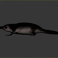 Realistic Platypus 3D Model With Black Body Pink Belly Duck Bill Webbed Feet And Tail