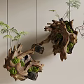 Hanging Decorative Wooden Root Sculptures with Green Moss Small Plants and Red Berries