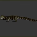 3D Crocodile Model with Open Mouth Green Eyes Brown White Stripes on Gray Background Reflection