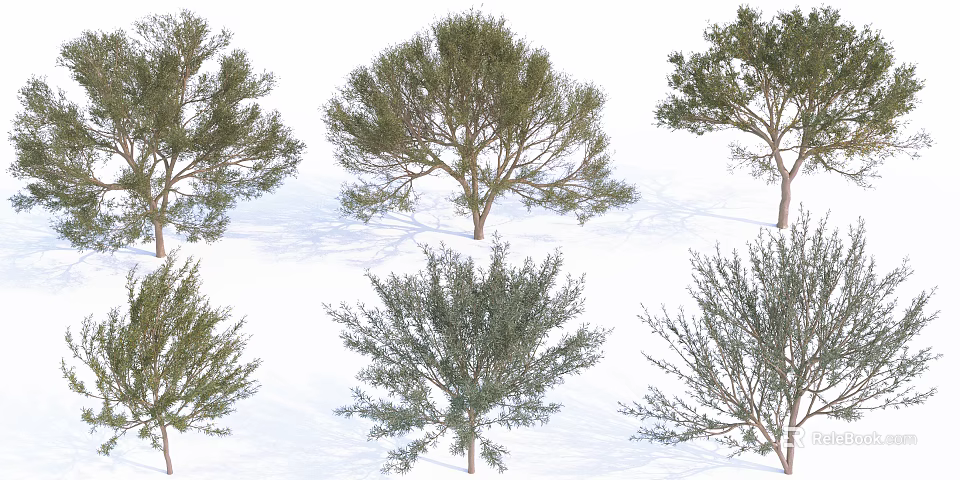 Various Arbor Species With Different Crown Shapes And Green Foliage 3d model 