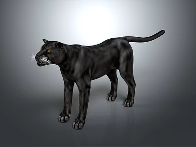 Black Panther Standing Majestically On Gray Background With Soft Studio Lighting 3d model