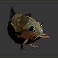 Catfish Carp Sturgeon Bass Freshwater Fish Various Carp Grass Carp Crucian Carp 3d model