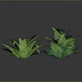 Green Fern Plant Decor Elements With Different Leaf Shapes And Sizes