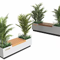 Stylish Rectangular Potted Plants With Wooden Bench And Green Palm Like Foliage
