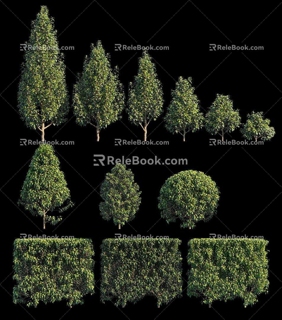 Modern shrubs 3d model