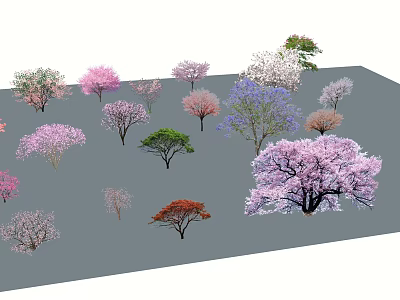 Diverse Arbor Trees With Pink Purple Green And Red Foliage For Landscape Design 3d model
